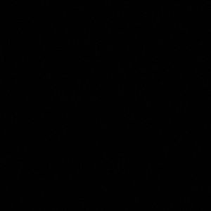 Meet your Posher, Miguel